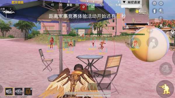 手机和平精英辅助透视